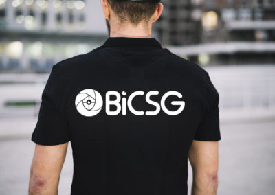 BiCSG Logo